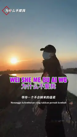 为什么不爱我