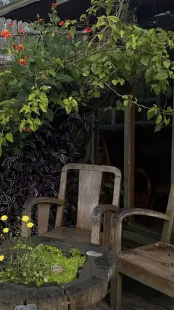 Về quê trồng rau