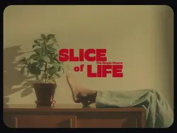 SLICE OF LIFE