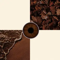 brown eyes
