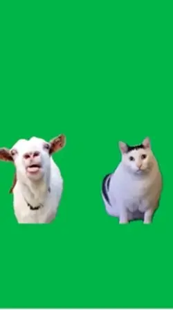 喋るヤギとhuh?猫 