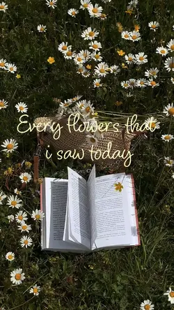 Flowers aesthetic