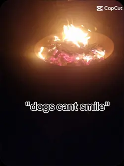 Dogs can smile
