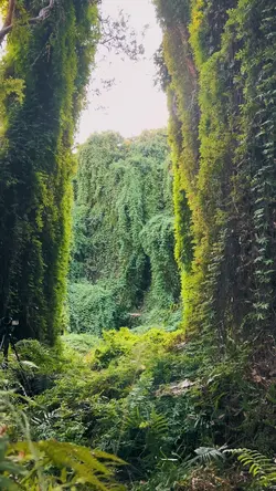 Chill nature 