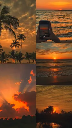 filter senja
