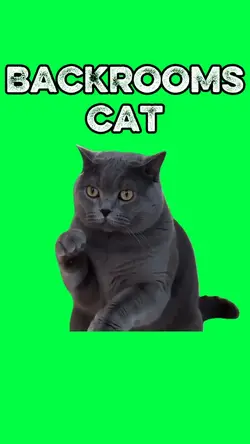 BACKROOMS CAT DANCE