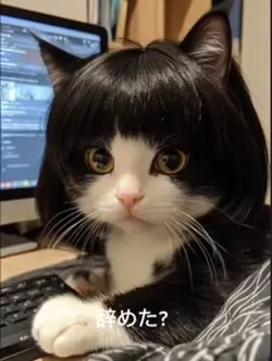 松本まりにゃ🐈 