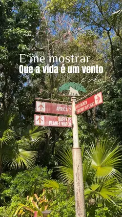Momentos