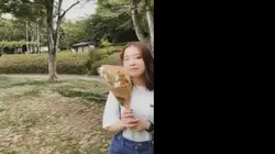 エンドロール風動画