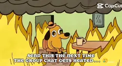 This is fine....?