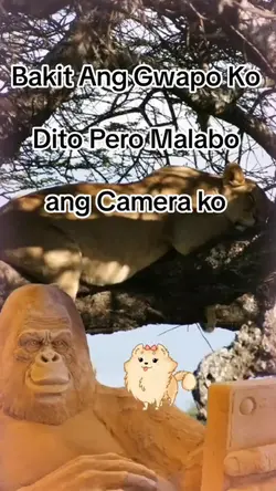 Monkey Selfie Trend
