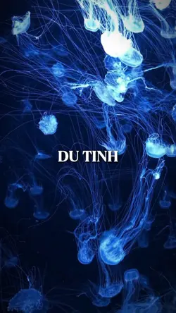 DỰ TÍNH