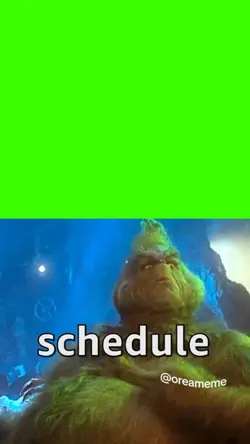 my schedule 