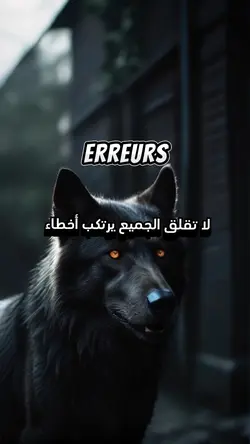 Les erreurs 