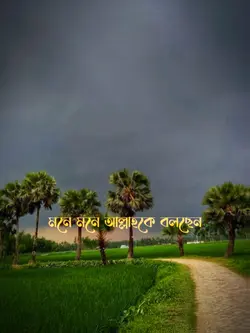 আল্লাহ মাফ করে দাও 