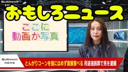 おもしろニュース
