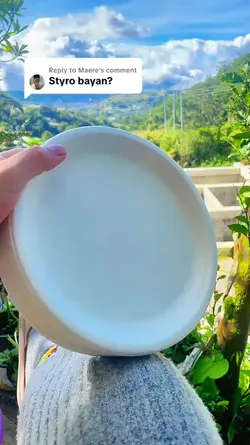 Sugarcane Plate