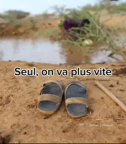 projet solidaires 