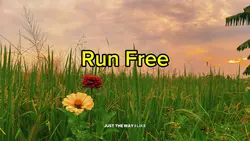 RUN FREE 