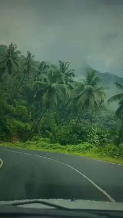 Wao SlowMo