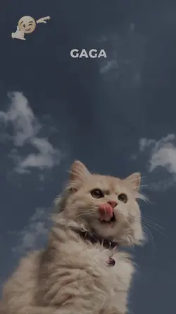 Lagi Trend Nih 