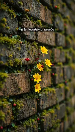 te hezdikim ji kezeb