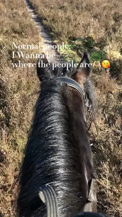 Im good right here🐴