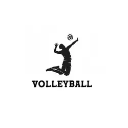volleyball theme