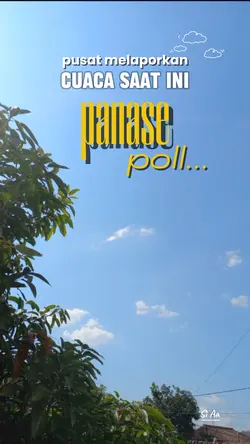 Panase pola...