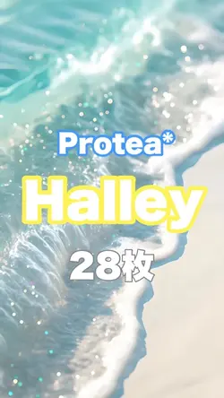 Halley/Protea*