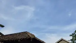 LAGU