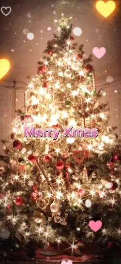 クリスマスウィッシュ🎄✨クリスマステンプ