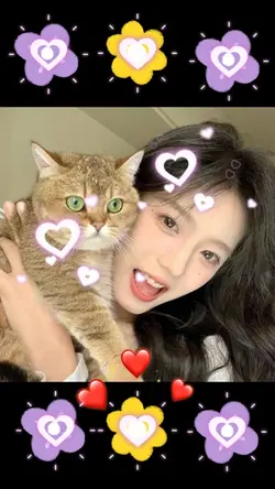 Lov