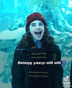Harry Potterrr