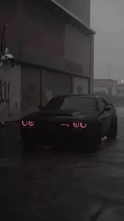 CAR🕸️ 1CLIP🕷️