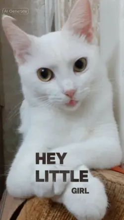 Cat lip sync