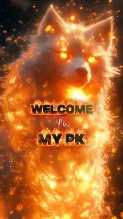 PK TikTok No.9
