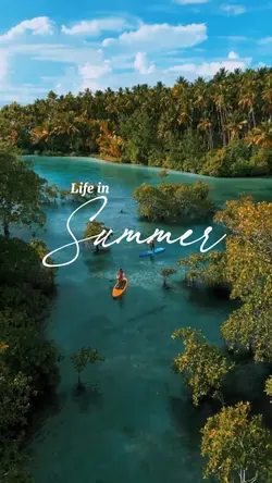 life in SUMMER 