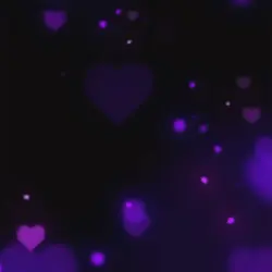 Salsa