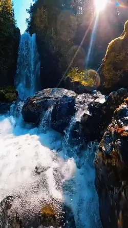 Adventure cinematic