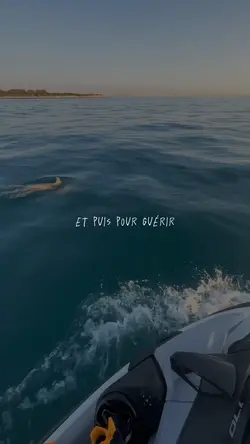 puis pour guerir 