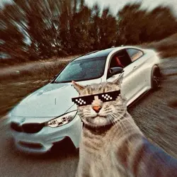 flex