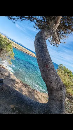 Vacances d'été 