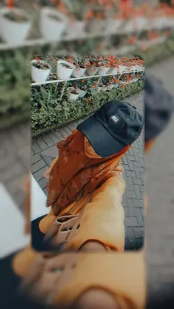 template aesthetic