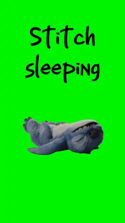 Stitch Sleeping 