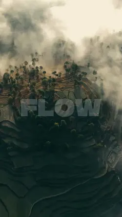 Flow