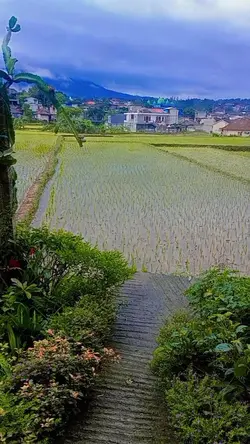 suasana pedesaan 