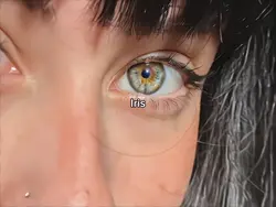 Eyes TREND👁️🔥