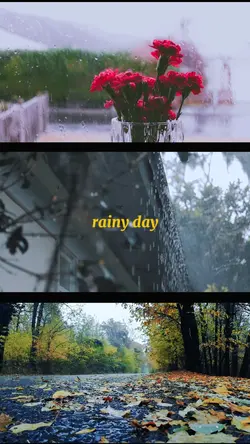 rainy day