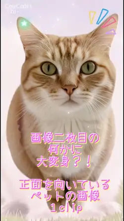 画像二枚目に変身したい写真🤳